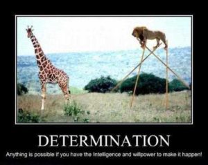 Determination-Anything-Is-Possible-Inspirational-Life-Quotes